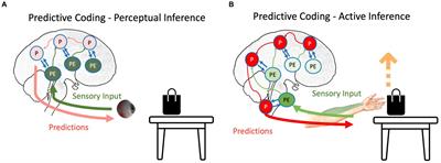 Cognitive simulation along with neural adaptation explain effects of suggestions: a novel theoretical framework